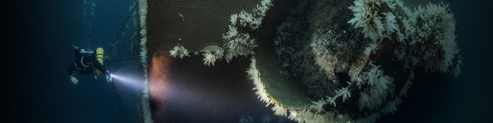 Zeagle diver, lifestyle image